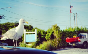 Haven Montauk in Montauk, New York