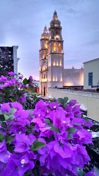 Hotel Maya Ah Kim Pech Hotel Maya Ah Kim Pech