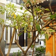 瓦納庫布家庭旅館