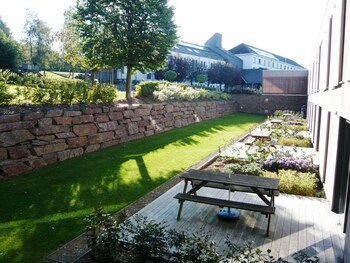 Corsendonk Sol Cress Corsendonk Sol Cress