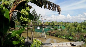 Bungalow Triple (Included 3 meals & Floating Market Tour)