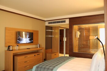 Suite, 1 King Bed (Diplomatic)