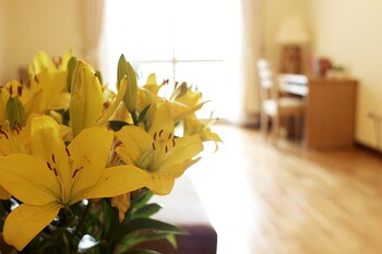 Superior Apartment, 1 Bedroom, Accessible, City View