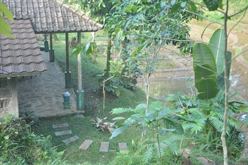 Tepi Sawah Lodge Tepi Sawah Lodge