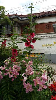 Birdsnest Hostel Hongdae Birdsnest Hostel Hongdae