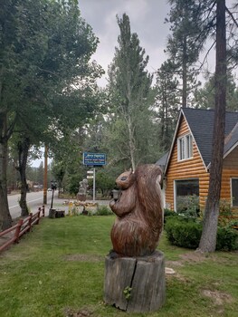 Grey Squirrel Resort Grey Squirrel Resort