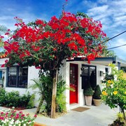 綠洲大飯店