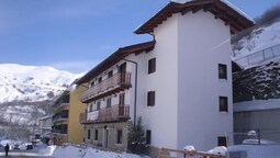 Ginepro d'Abruzzo