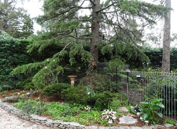 Corner Manor Leura Corner Manor Leura