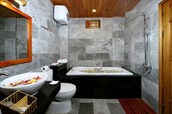 Pokój dwuosobowy typu Deluxe, 1 sypialnia, balkon, widok na ogród