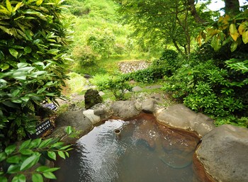 Pokój standardowy (A with Open Air Bath)