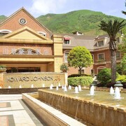 成都都江堰虹口山景豪怡酒店