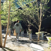 星野東京飯店