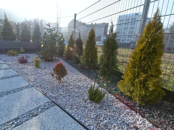 Apartament typu Royal, 1 sypialnia, taras, widok na miasto