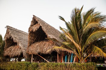Bungalow o podstawowym wyposażeniu, 1 sypialnia, widok na plażę
