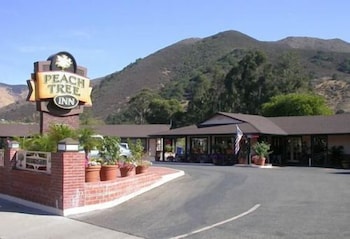 Peach Tree Inn Peach Tree Inn