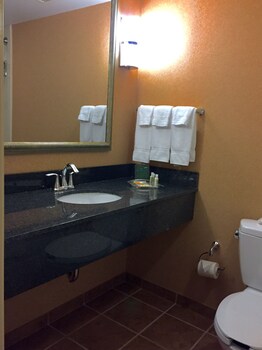 Room, Accessible (Roll-In Shower)