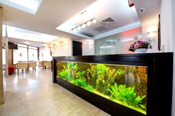 Hotel Duke Armeneasca - Ex Tempo Hotel Duke Armeneasca - Ex Tempo