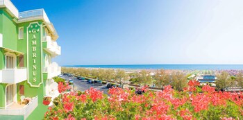 Hotel Gambrinus & Strand Hotel Gambrinus & Strand
