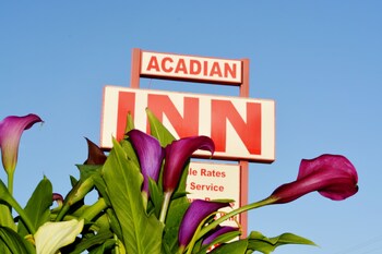 Acadian Motor Inn Acadian Motor Inn