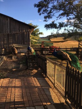 Clandulla Cottages Clandulla Cottages