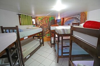 Hostel Green House Hostel Green House