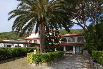 Marelba Marelba