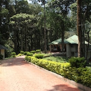大森林渡假村