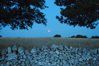 Trulli Gallo Rosso Trulli Gallo Rosso