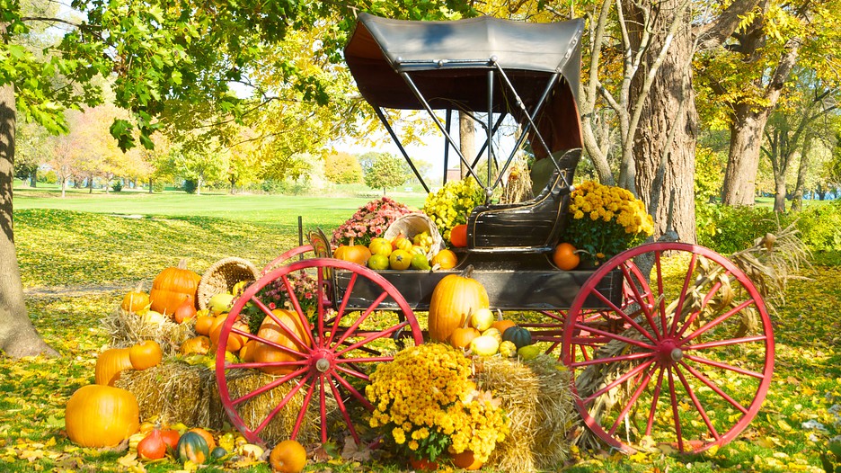 Cheap Accommodations Niagara On The Lake Cheap Accommodations Niagara On The Lake