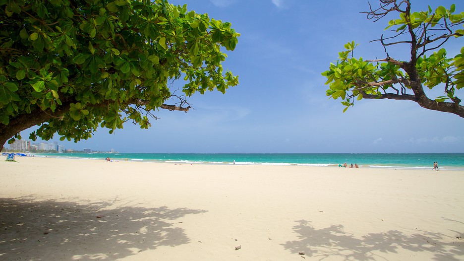 Best Puerto Rican Food In Isla Verde Best Puerto Rican Food In Isla Verde